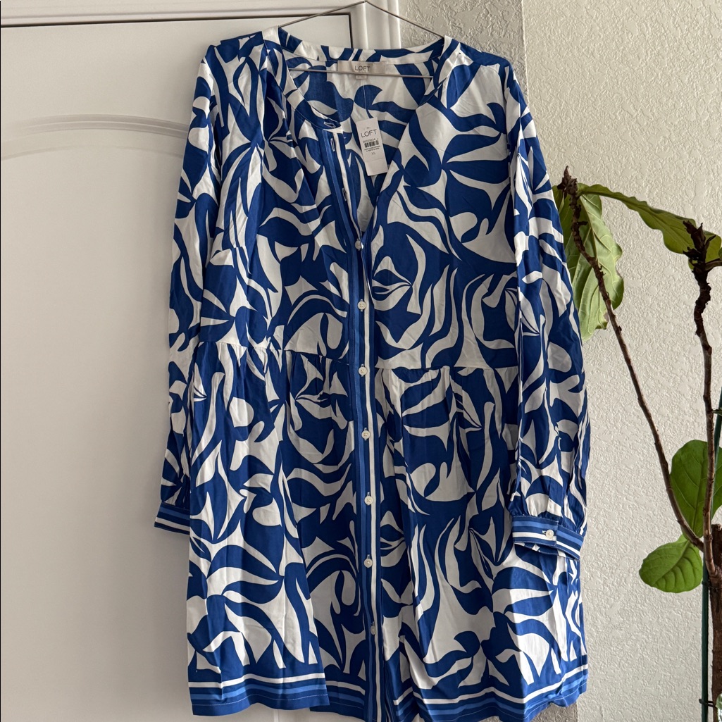 Loft Blue & White Dress